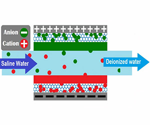 electro d ionization system